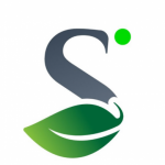 Profile picture of Santhi Online Plants